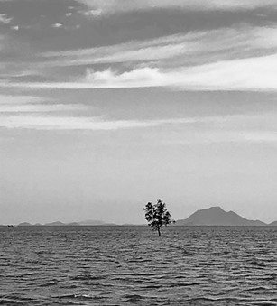 Een eiland in zee