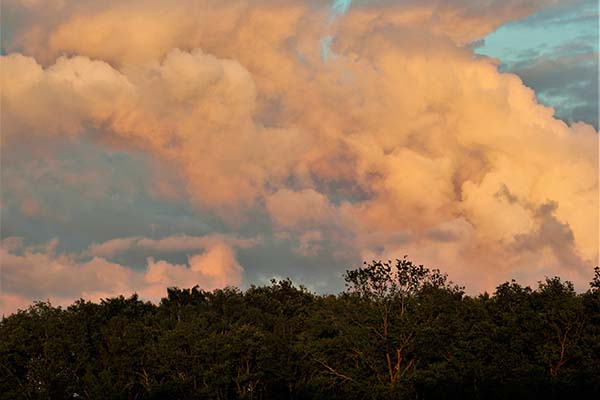 Avondwolken boven het bos